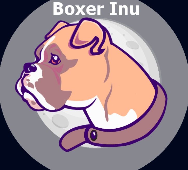 Boxer Inu