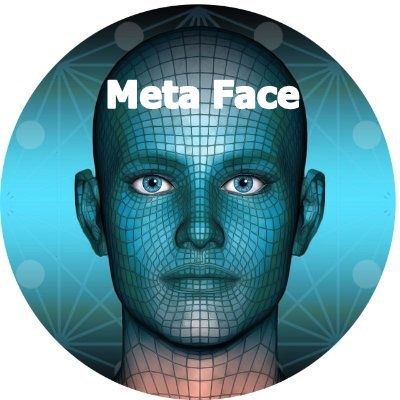 Metaverse Face - Meta Face