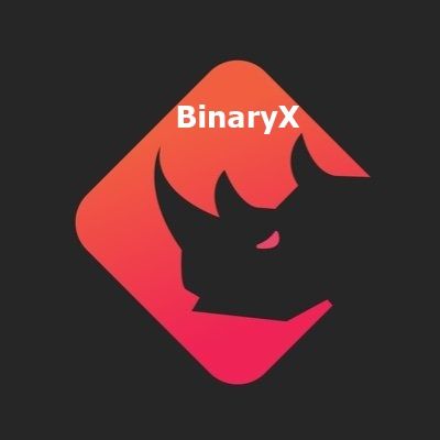 BinaryX