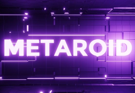 Metaroid