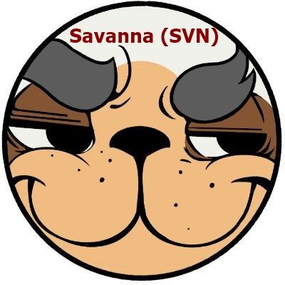 SVN (Savanna) Finance