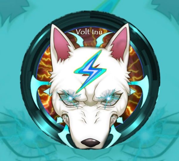 Volt Inu