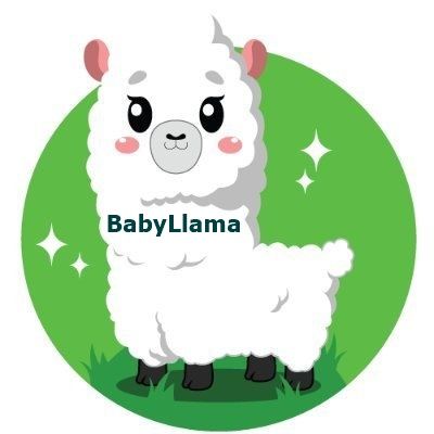 BabyLlama