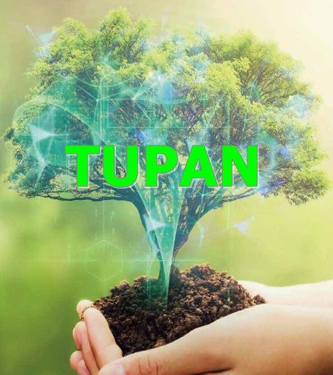 Tupan