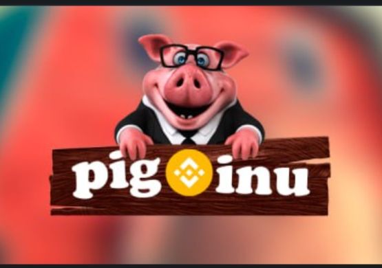 Pig Inu