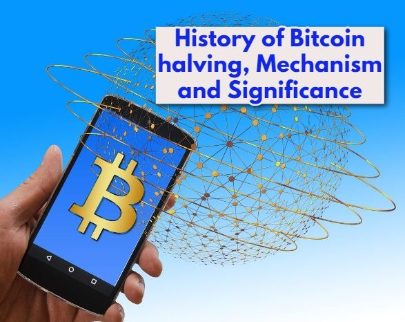 History of Bitcoin halving, Mechanism and Significance