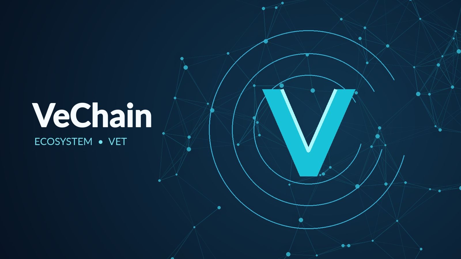 VeChain ecosystem
